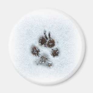 Winter Paw Print Magnet