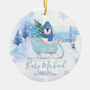 Winter Penguin Baby Boy Pregnancy Announcement Ceramic Tree Decoration