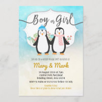 Winter Penguin Gender Reveal party