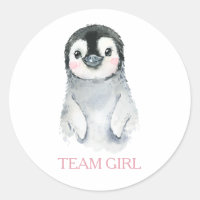 Winter Penguin Team Girl Gender Reveal Game Label