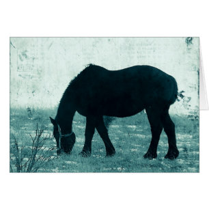 Winter Percheron