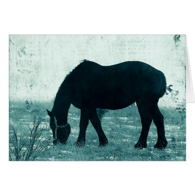 Winter Percheron (Front Horizontal)
