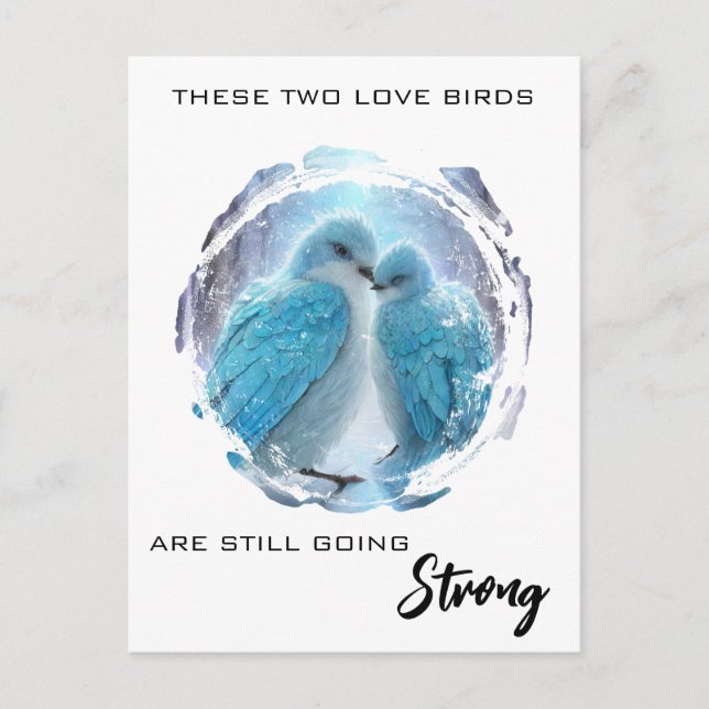 *~* Winter PHOTO  Love Birds AP54 Anniversary Postcard (Front)