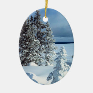 Winter Photo Template Christmas Ornament