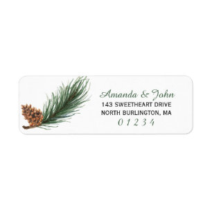 Winter Pine Branch Watercolor Return