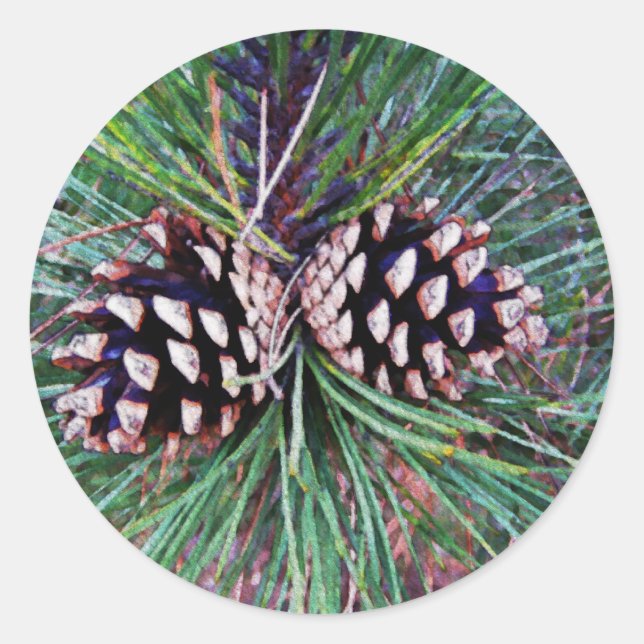 Winter Pine Come Classic Round Sticker (Front)