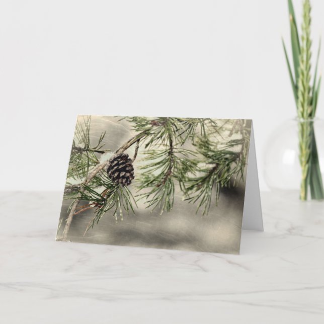 Winter Pine Cone and Snow Greeting Card (Front)