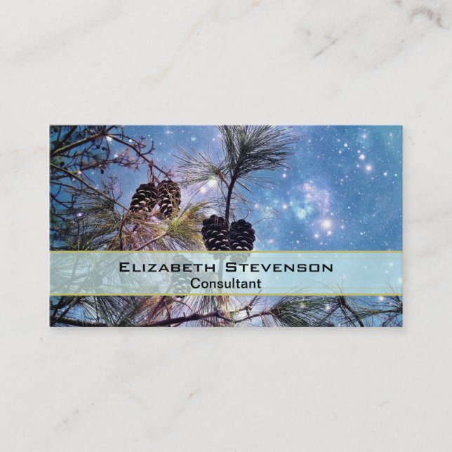 Winter Pine Cones under a starry night sky Business Card (Front)