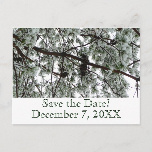 Winter Pine Save the Date Postcard (Front)