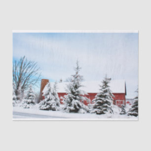 Winter Pine Trees Protecting a Large Red Barn Tissue Paper