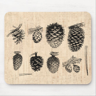 Winter Pinecones Mousepad