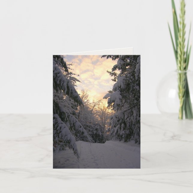 Winter Pines Sunrise Photography Note Card (Front)