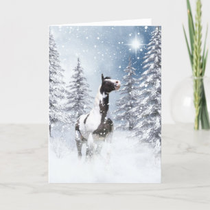 Winter pinto horse holiday card