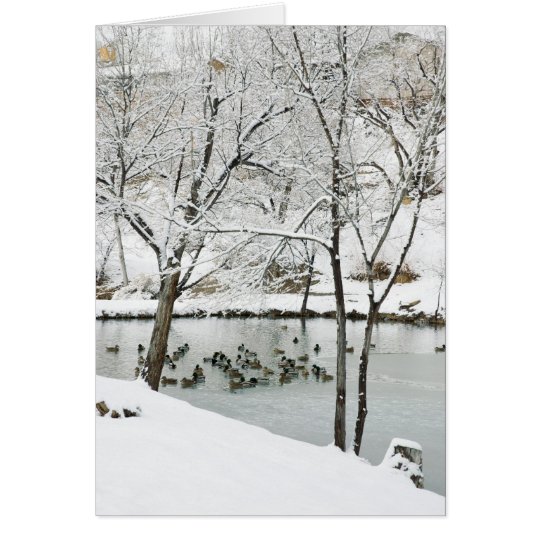 winter pond holiday card