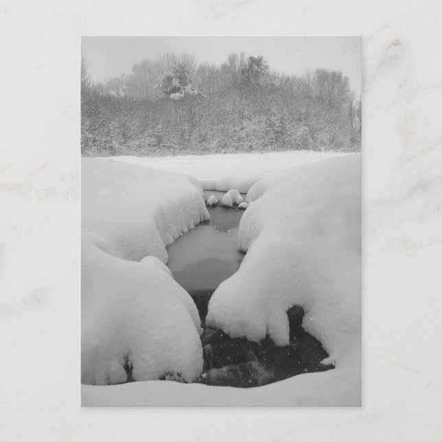 Winter Pond Postcard (Front)