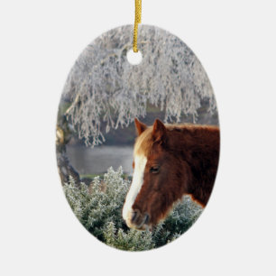 Winter ponies ornament