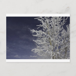 Winter Post Card