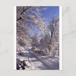Winter Postcard