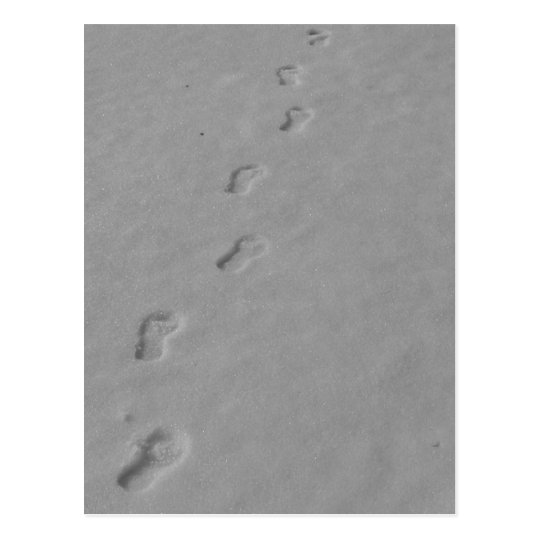 Winter Postcard! Postcard