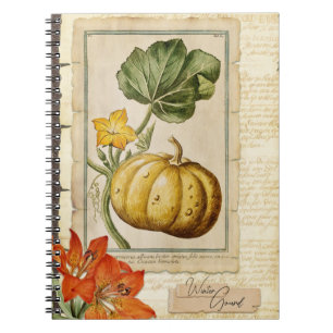 Winter Pumpkin Notebook