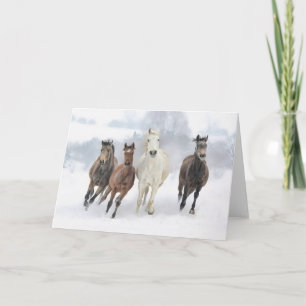 Winter Racers Holiday Card