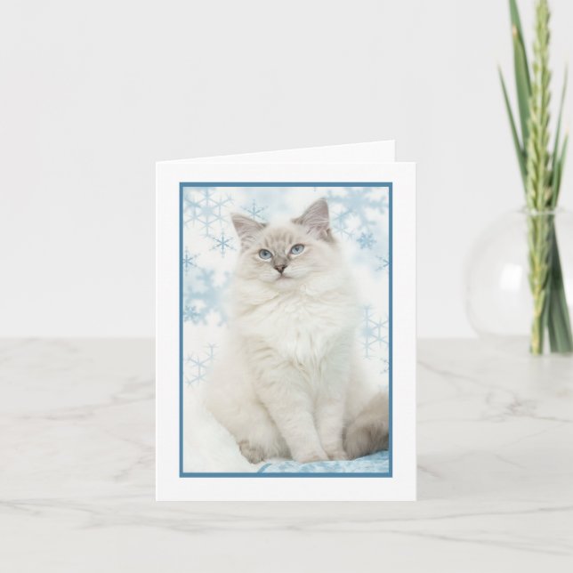 winter ragdoll notecard (Front)