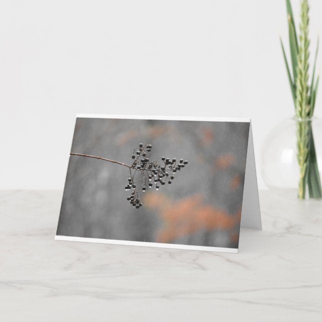 Winter Rain, card (Front)
