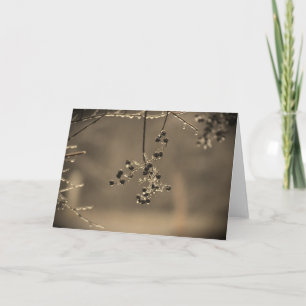 Winter Rain, card