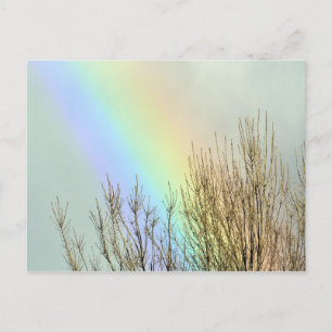 Winter Rainbow Postcard