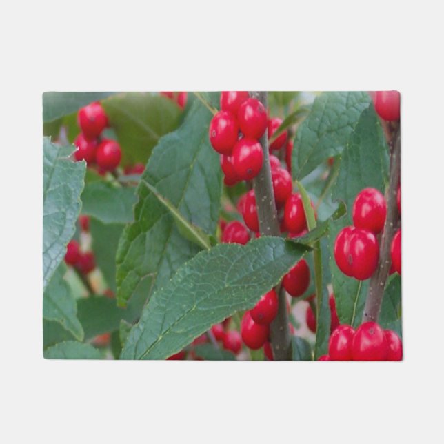 Winter Red Berries Holiday Scenic Christmas  Doormat (Front)