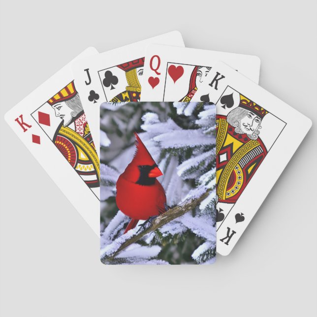 Winter Red Cardinal Playing Cards (Back)