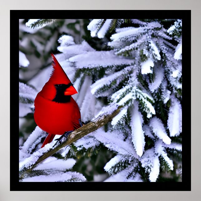 Winter Red Cardinal Poster (Front)