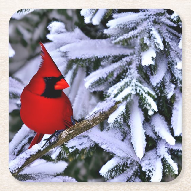 Winter Red Cardinal Square Paper Coaster (Front)