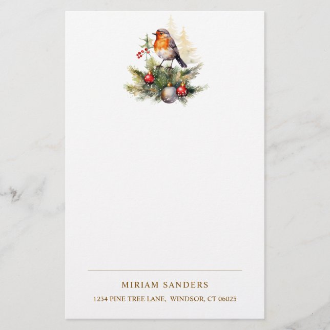 Winter Red Robin Christmas  Stationery (Front)