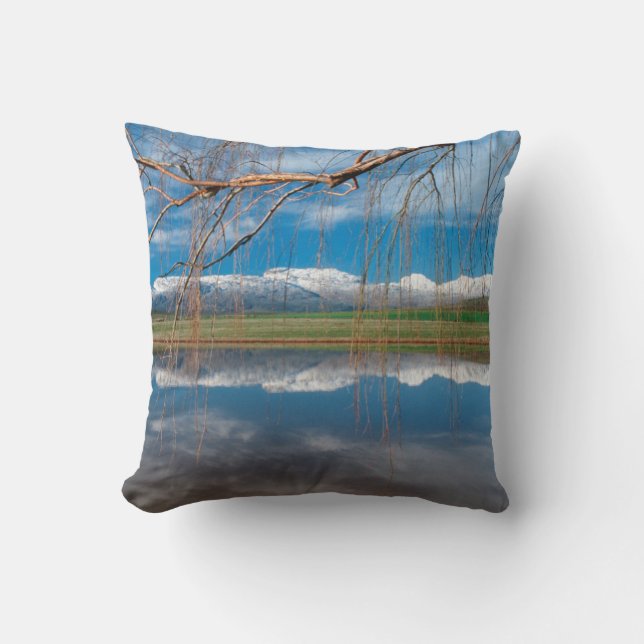 Winter Reflections. Ceres, Boland District Cushion (Front)