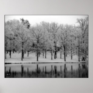 Winter Reflections Poster