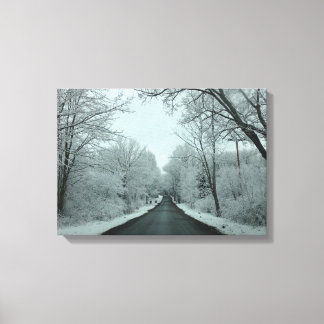 Winter Road Canvas Print
