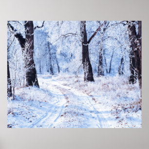 Winter Road Poster