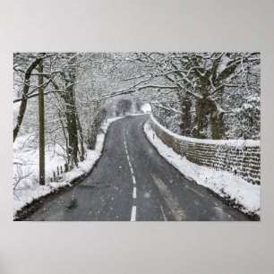 Winter Road scene Poster