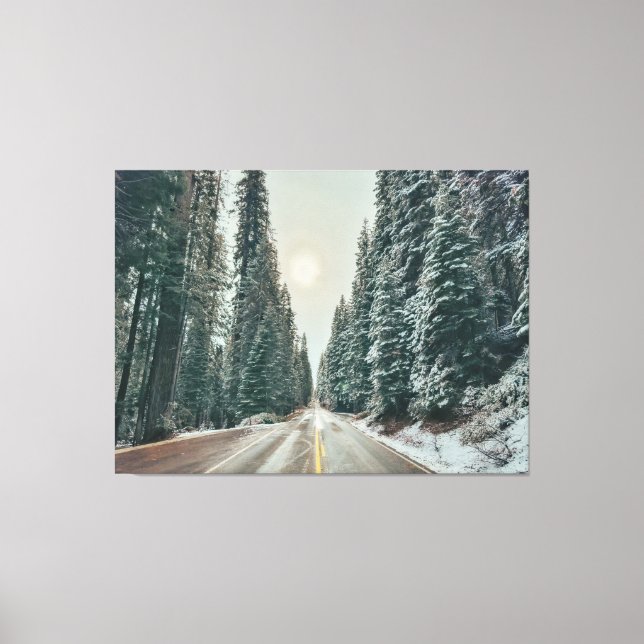 Winter Road Through Forest Canvas Print (Front)