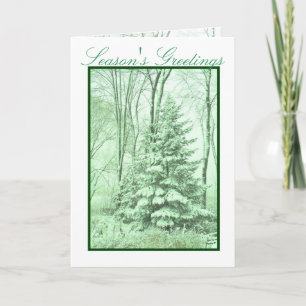WINTER ROBES ~ Green Holiday Card