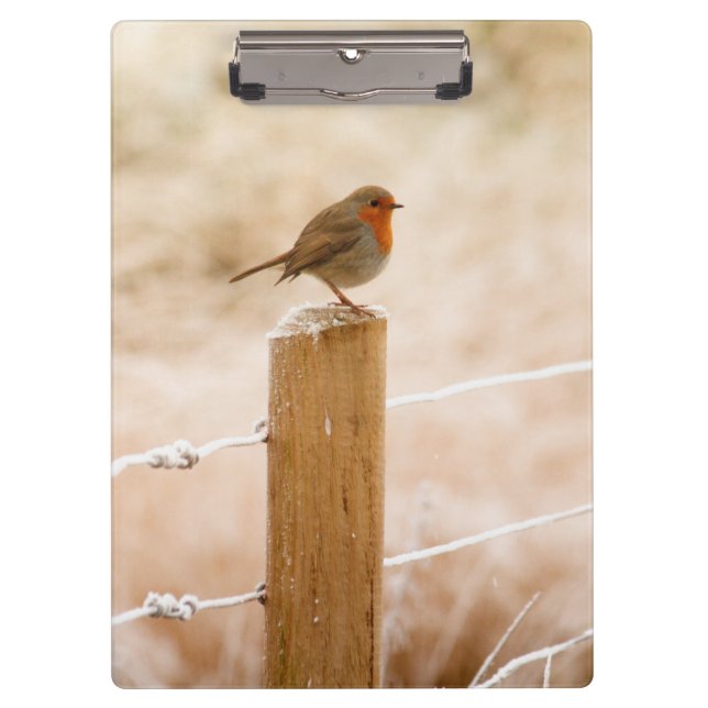 Winter Robin Redbreast Clipboard (Front)