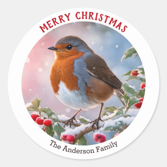 Winter Robin Redbreast Festive Merry Christmas Classic Round Sticker (Front)