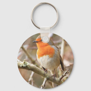 Winter Robin Redbreast Key Ring