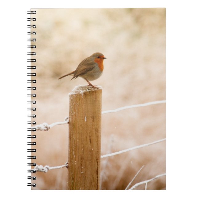 Winter Robin Redbreast Notebook (Front)