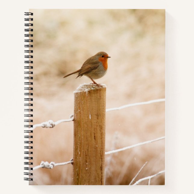 Winter Robin Redbreast Notebook (Front)