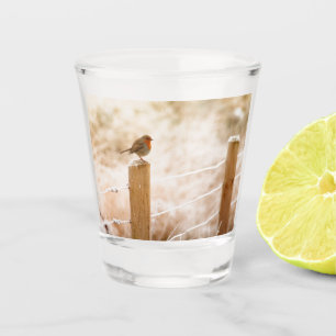 Winter Robin Redbreast Shot Glass