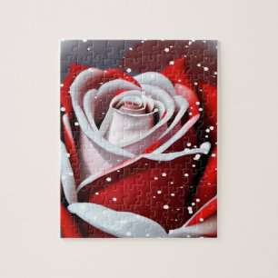Winter Rose   Jigsaw Puzzle