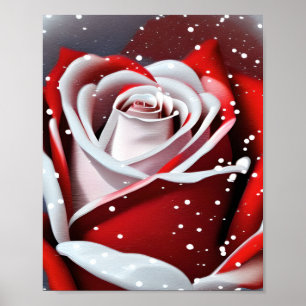 Winter Rose Poster