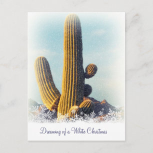 Winter Saguaro Holiday Postcard